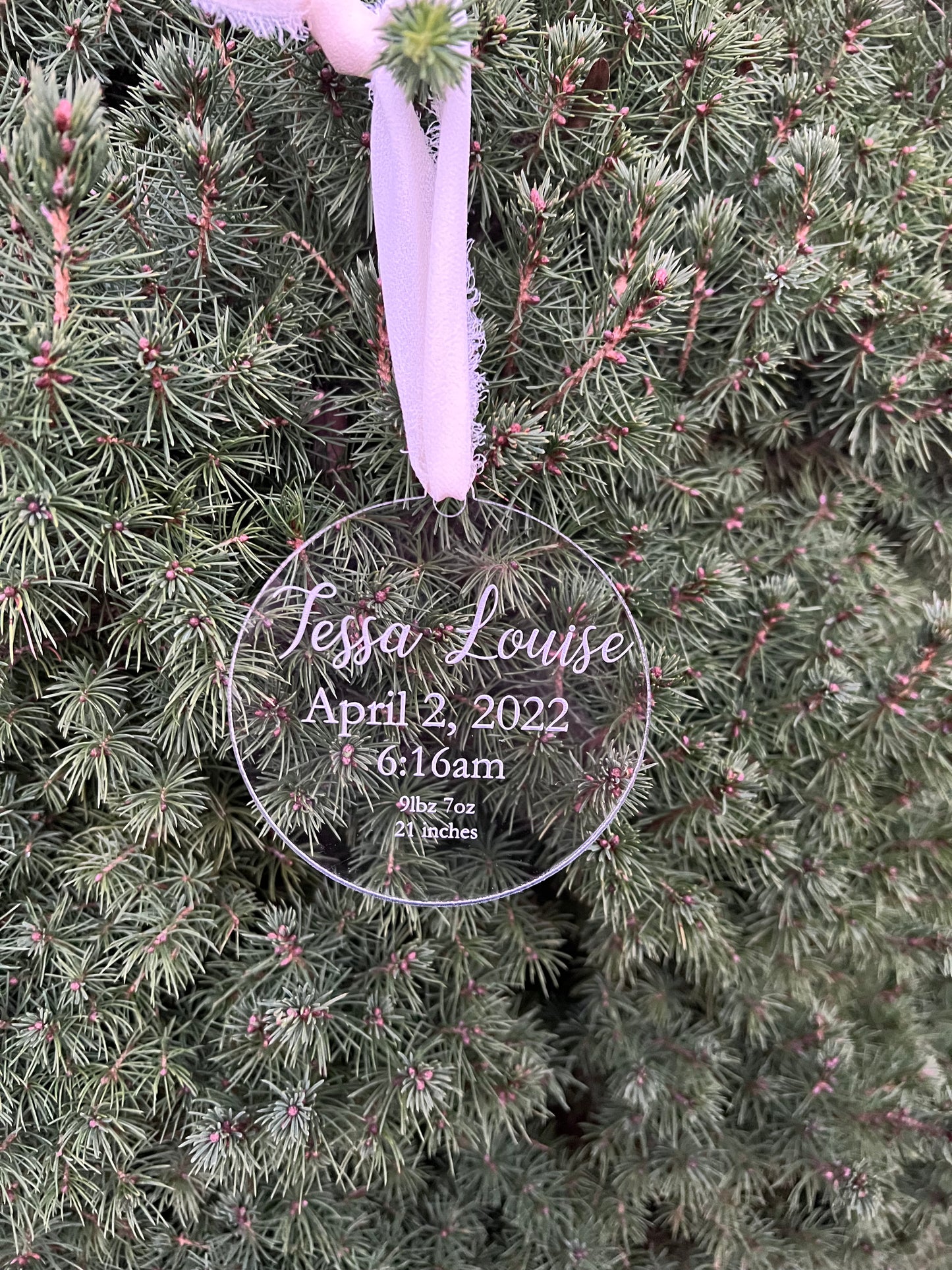 Baby statistics ornament, clear