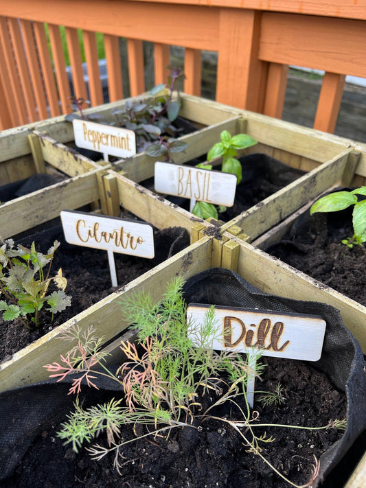 Plant labels